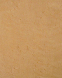 �ꗬ�z�e���̃x�b�h�@�w�b�h�{�[�h�̂��F