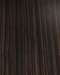 �ꗬ�z�e���̃x�b�h�@�w�b�h�{�[�h�̂��F