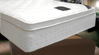 �T�[�^�@���C�g�u���[�Y