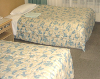 �ꗬ�z�e���̉H�ѕz�c�����ƒ�����ɔ̔����Ă��܂�(�{�b�N�X�L���g�^�C�v)