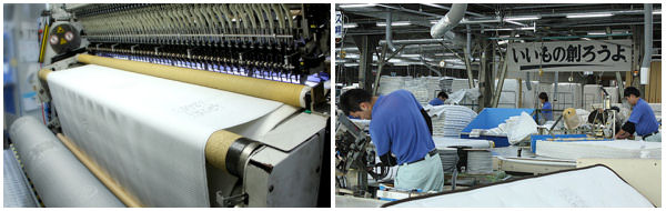 �x�b�h�H��̉摜