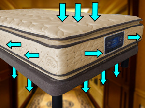 i �t�@�[���s���[�\�t�g �T�[�^