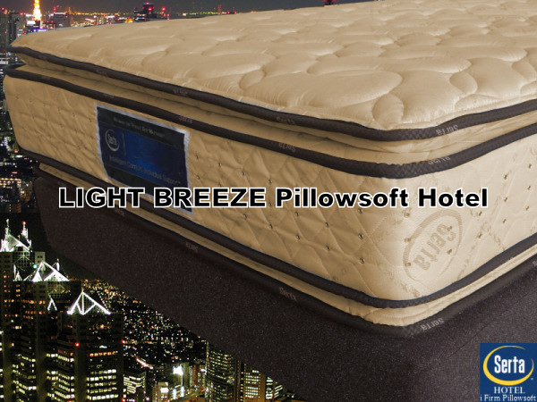 �T�[�^�@���C�g�u���[�Y �s���[�\�t�g 