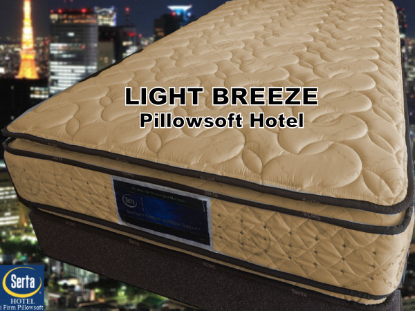 �T�[�^ ���C�g�u���[�Y �s���[�\�t�g