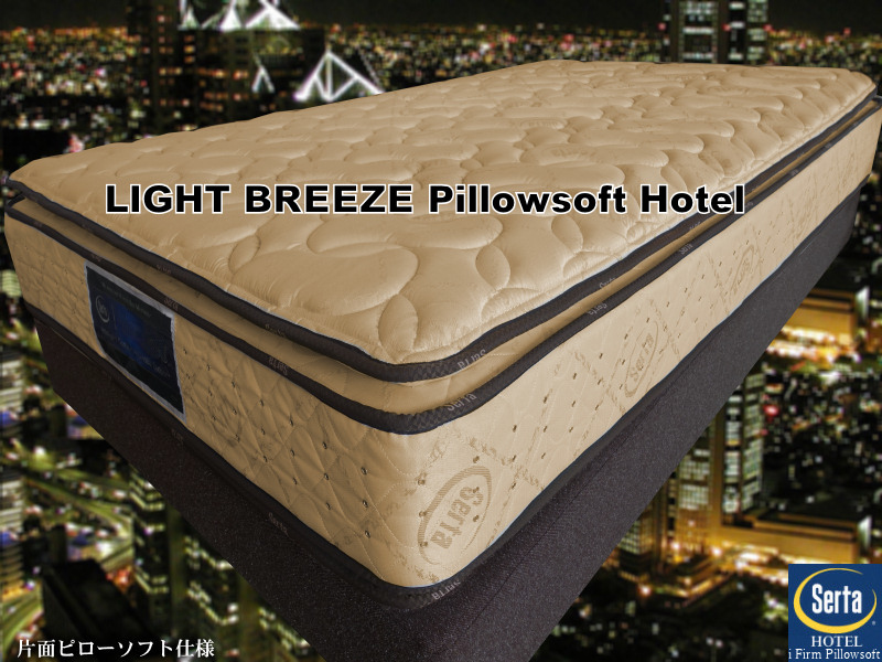 �T�[�^ ���C�g�u���[�Y �s���[�\�t�g