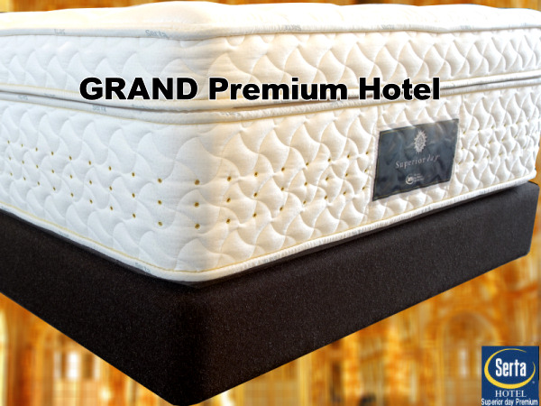 �T�[�^�O�����h�v���~�A��