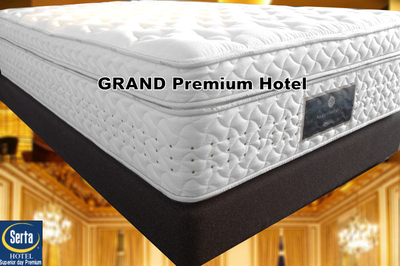 �T�[�^�O�����h�v���~�A��