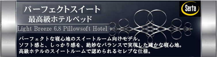 iSeries �X�C�[�g�s���[�\�t�g �T�[�^