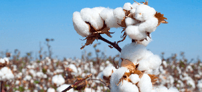 ホテルのベッドカバーに使われている素材は何が多い? ホテル旅館の寝具の材質について徹底解説