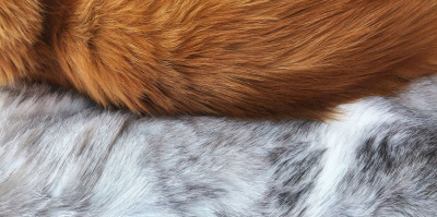 ホテルのベッドカバーに使われている素材は何が多い? ホテル旅館の寝具の材質について徹底解説