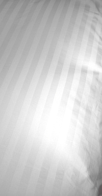 �f���x�@�f���x�J�o�[�@�z�e���̃x�b�h�J�o�[�ł�