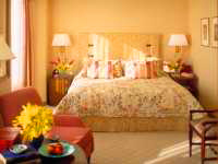 �z�e�������x�b�h�q������2