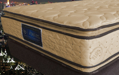 ���C�g�u���[�Y�@�T�[�^