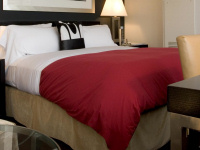 �X�J�[�g(�{�g���J�o�[)�摜