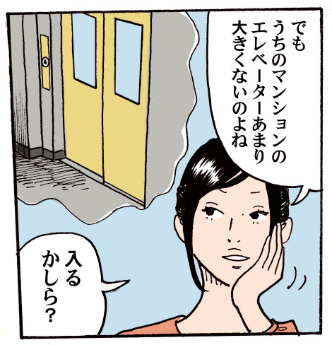 �ł������̃}���V�����̃G���x�[�^�A���܂�傫���Ȃ��̂��