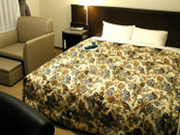 �z�e���H�уx�b�h�J�o�[����(������{�b�N�X�^�C�v)