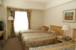 �z�e���̃G�L�X�g���x�b�h(�܂��ݎ�)