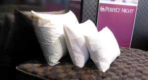 �}�N���̑傫����r