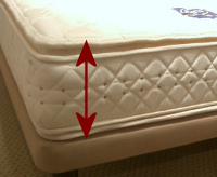 �V�[�c���v���[���g!!