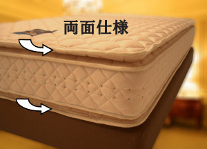 ピロートップの2TOP