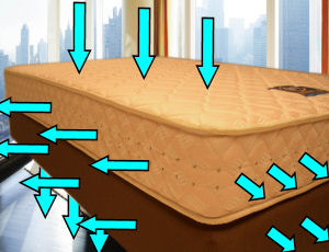 サータ,FS-6000,FS-6000P,DB-013