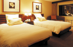 �z�e���̃x�b�h�@�X�`�[���{�g���^�C�v�@�q������