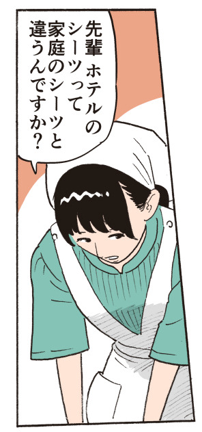 ��y�A�z�e���̃V�[�c���āA�ƒ�̃V�[�c�ƈႤ��ł����H