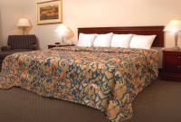 �X�v���b�h �X�^�C���̃J�o�[ �z�e���̃X�v���b�h