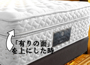 ���̃s���[�g�b�v���L��̖�