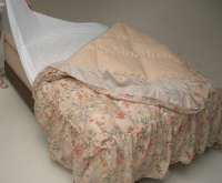 �z�e���̃A�b�p�[�V�[�c �x�b�h���C�N�̎d��2
          </TR>
          <TR>
            <TD align=