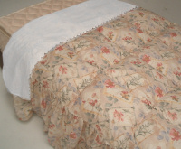 �z�e���̃A�b�p�[�V�[�c �x�b�h���C�L���O�̎d��4
          </TR>
          <TR>
            <TD align=