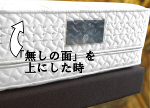 ���̃s���[�g�b�v�������̖�