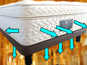 �T�[�^ �X�[�y���A�f�C